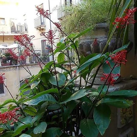 La Terrazza アーチ・カステッロ